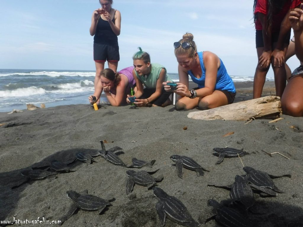 La Tortuga Feliz eco project