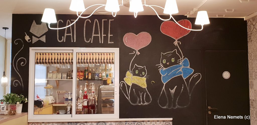 Cat cafe Вильнюс